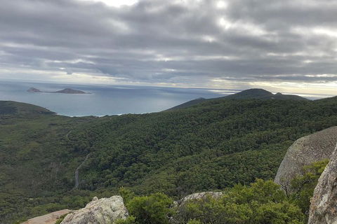 Wilsons Promontory Walking And Sightseeing Tour From Phillip Island - Accommodation Gladstone 5