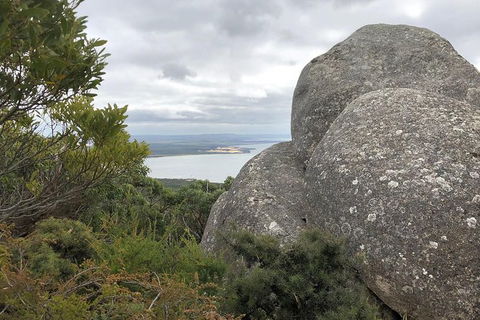 Wilsons Promontory Walking And Sightseeing Tour From Phillip Island - Accommodation Gladstone 15