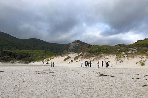 Wilsons Promontory Walking And Sightseeing Tour From Phillip Island - Accommodation Gladstone 4