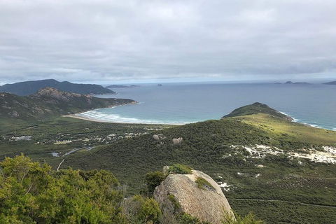 Wilsons Promontory Walking And Sightseeing Tour From Phillip Island - Accommodation Gladstone 12