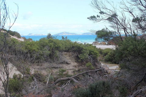 Wilsons Promontory Walking And Sightseeing Tour From Phillip Island - Accommodation Gladstone 14