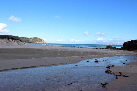 Wilsons Promontory Walking And Sightseeing Tour From Phillip Island - Accommodation Gladstone 3