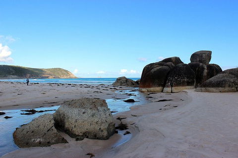 Wilsons Promontory Walking And Sightseeing Tour From Phillip Island - Accommodation Gladstone 10