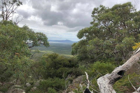 Wilsons Promontory Walking And Sightseeing Tour From Phillip Island - Accommodation Gladstone 13