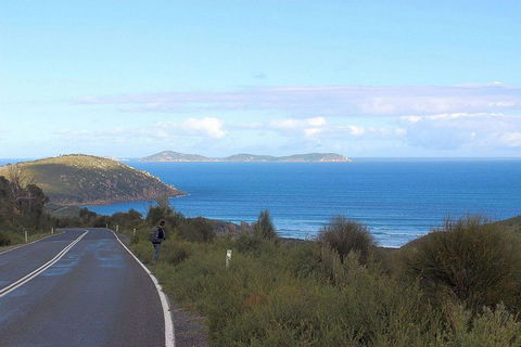Wilsons Promontory Walking And Sightseeing Tour From Phillip Island - Accommodation Gladstone 2