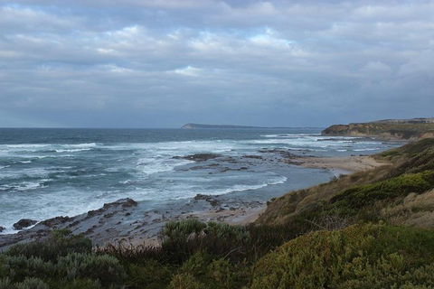 Wilsons Promontory Day Trip From Phillip Island - Accommodation Gladstone 1