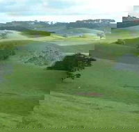Day Tour of Phillip Island  Surrounding Region - Accommodation Gladstone