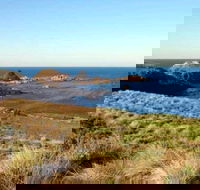 Phillip Island Walking  Bird Watching Tour - Accommodation Gladstone