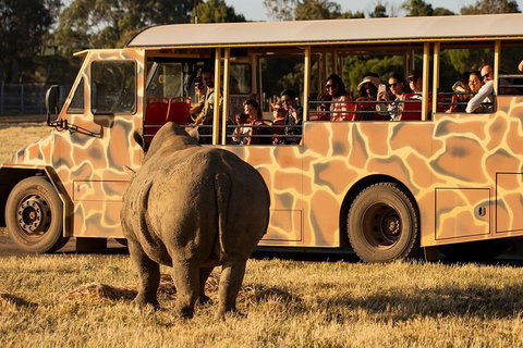 Sunset Safari At Werribee Open Range Zoo - Accommodation Gladstone 3