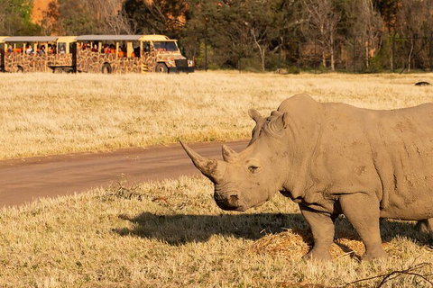 Sunset Safari At Werribee Open Range Zoo - Accommodation Gladstone 6