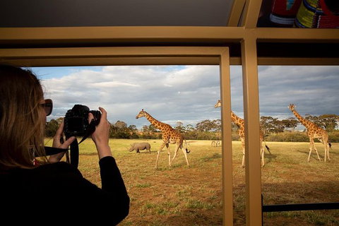 Sunset Safari At Werribee Open Range Zoo - Accommodation Gladstone 5