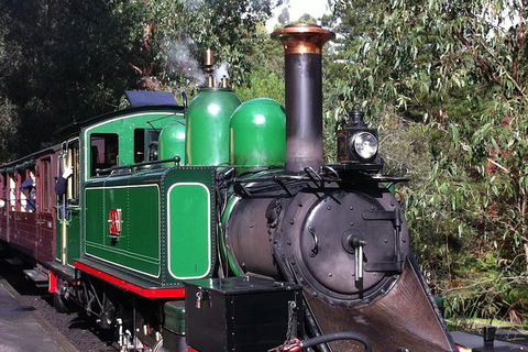 Private Tour: Healesville Sanctuary Wildlife & Puffing Billy Steam Train - Accommodation Gladstone 1
