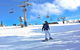 Private Mount Buller Snow And Ski Tour From Melbourne - thumb 1