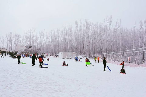 Private Mount Buller Snow And Ski Tour From Melbourne - Accommodation Gladstone 2