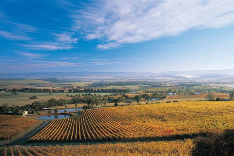 Half Day Yarra Valley Winery Day Trip From Melbourne - Accommodation Gladstone 2