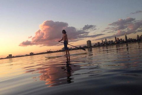 St Kilda Stand-Up Paddle Board Rental - Accommodation Gladstone 1