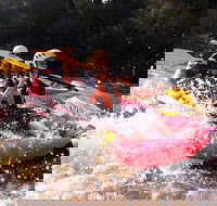 Whitewater Sports rafting on the Yarra river - Accommodation Gladstone