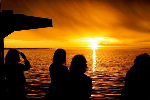 Phillip Island Twilight Cruise - Accommodation Gladstone 1