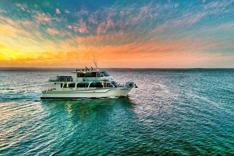 Phillip Island Twilight Cruise - Accommodation Gladstone 3
