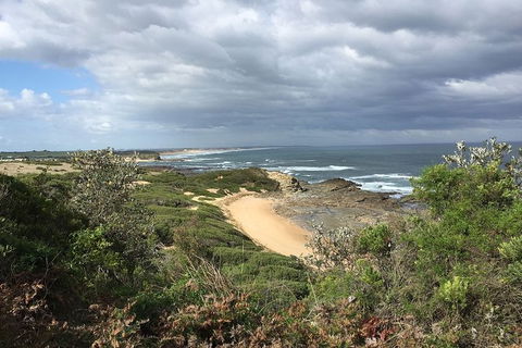 George Bass Coastal Walk - Accommodation Gladstone 7