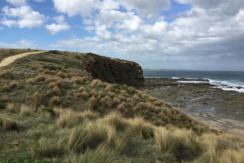 George Bass Coastal Walk - Accommodation Gladstone 8