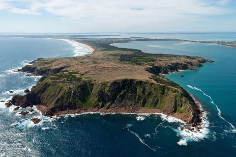 Phillip Island Helicopter Tour - Accommodation Gladstone 7