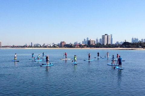 Stand-Up Paddle Board Group Lesson At St Kilda - Accommodation Gladstone 2