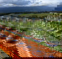 Yarra Valley Local Produce and Wine Tasting Tour - Accommodation Gladstone