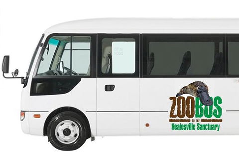 HEALESVILLE SANCTUARY ZOOBUS - MELBOURNE CITY RETURN - Accommodation Gladstone 1