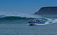 Phillip Island Wildlife Cruise With Optional Penguin Parade And 3 Park Pass - thumb 0
