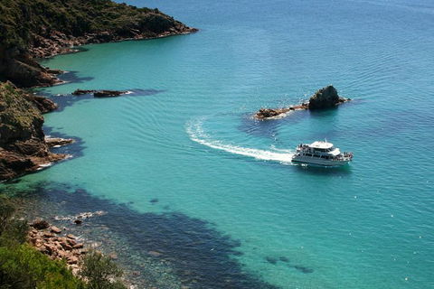 Cape Woolamai Sightseeing Cruise From San Remo - Accommodation Gladstone 0