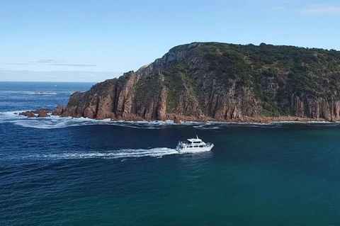 Cape Woolamai Sightseeing Cruise From San Remo - Accommodation Gladstone 2