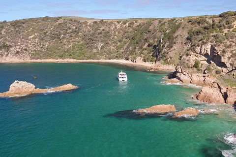Cape Woolamai Sightseeing Cruise From San Remo - Accommodation Gladstone 6