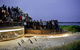 Phillip Island Penguin Parade, Brighton Bathing Boxes And Wildlife Park Tour - thumb 8
