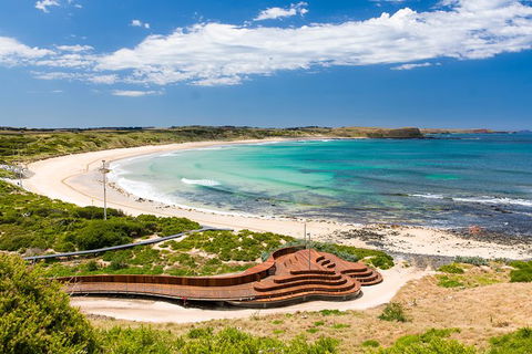 Phillip Island Penguin Parade, Brighton Bathing Boxes And Wildlife Park Tour - Accommodation Gladstone 6