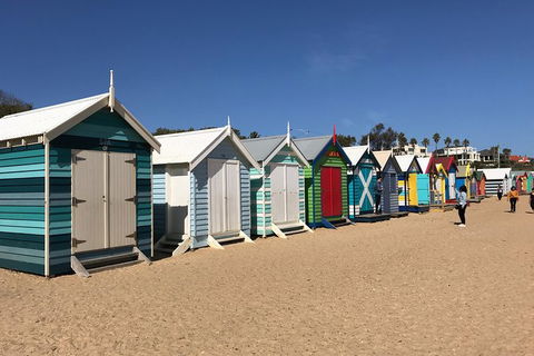 Phillip Island Penguin Parade, Brighton Bathing Boxes And Wildlife Park Tour - Accommodation Gladstone 4