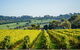 Private Wine Tours From Melbourne (price/group Not Per Person) - thumb 1