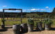 Private Wine Tours From Melbourne (price/group Not Per Person) - thumb 12