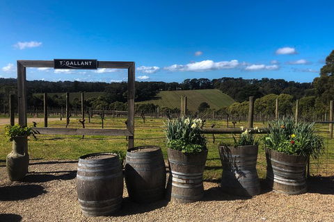 Private Wine Tours From Melbourne (price/group Not Per Person) - Accommodation Gladstone 12