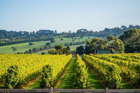 Private Wine Tours From Melbourne (price/group Not Per Person) - Accommodation Gladstone 14