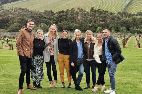 Private Wine Tours From Melbourne (price/group Not Per Person) - Accommodation Gladstone 11