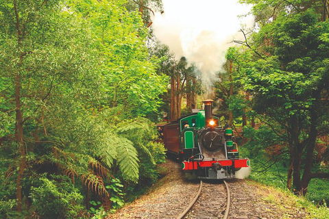Half Day Puffing Billy Train Journey From Melbourne - Accommodation Gladstone 2