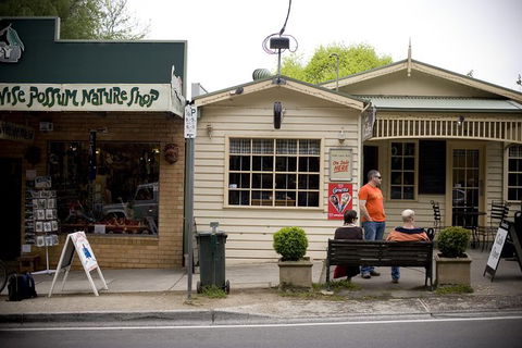 Half Day Puffing Billy Train Journey From Melbourne - Accommodation Gladstone 10