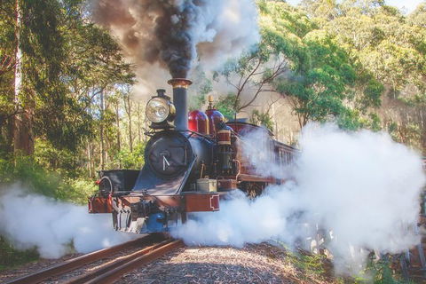 Half Day Puffing Billy Train Journey From Melbourne - Accommodation Gladstone 4