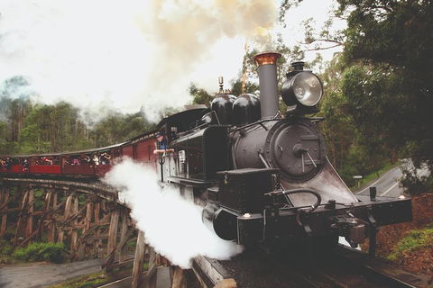 Half Day Puffing Billy Train Journey From Melbourne - Accommodation Gladstone 3