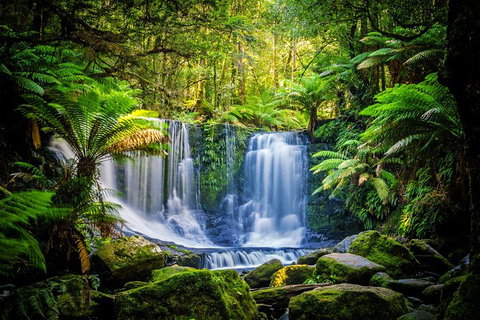Day Tour In Mt. Field, Mt. Wellington, Bonorong Wildlife Sanctuary And Richmond - Accommodation Gladstone 0