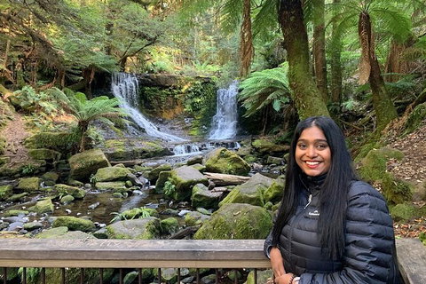 Day Tour In Mt. Field, Mt. Wellington, Bonorong Wildlife Sanctuary And Richmond - Accommodation Gladstone 4