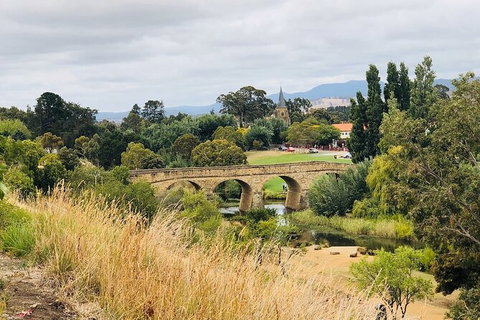 Day Tour In Mt. Field, Mt. Wellington, Bonorong Wildlife Sanctuary And Richmond - Accommodation Gladstone 6