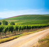 Full Day Tamar Valley Wine Tour - Accommodation Gladstone