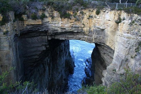 Cruise Ship Special From Port Arthur: Explore Tasman Peninsula With Free WiFi - Accommodation Gladstone 0